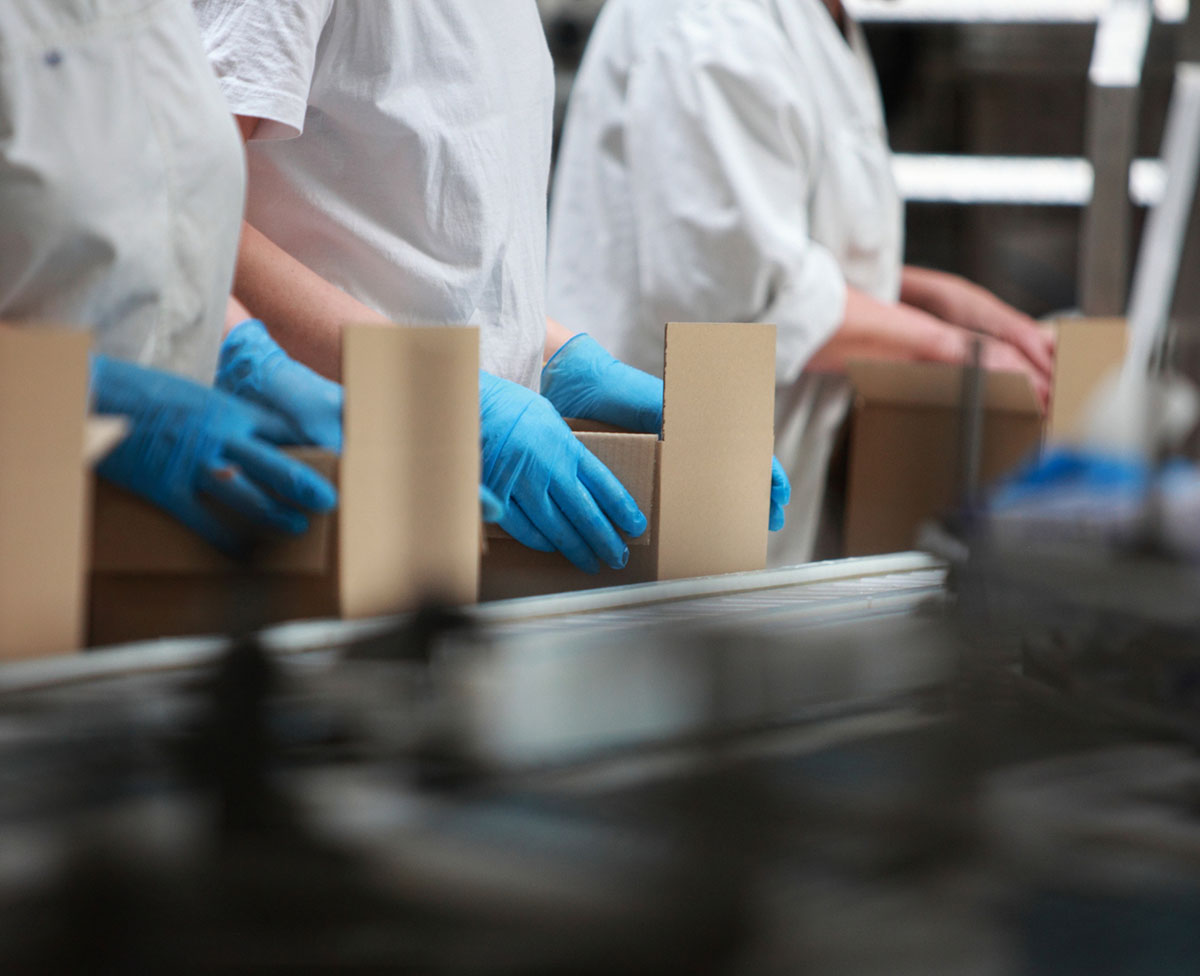 People Working On Packing Line In Factory Close Up